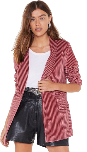 Nasty Says relaxed Velvet Striped Blazer - PINK